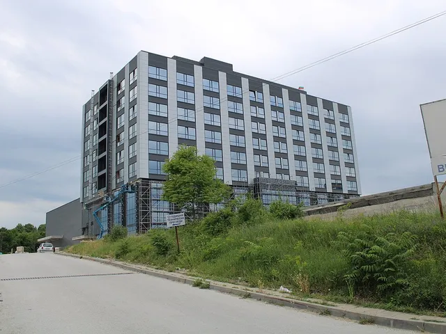 The building