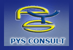 PYS CONSULT LTD logo