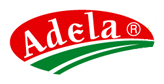 Adela Ltd. logo