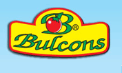 Bulcons Parvomay JSC logo