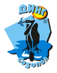 SD DING logo