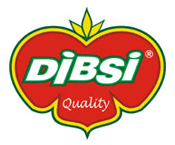 DIBSI - NB Ltd. logo