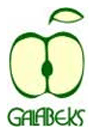 Galabeks ltd logo