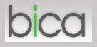 Balkans Investment Consulting Agency (BICA LTD) logo