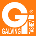 Tashev-Galving Ltd. logo