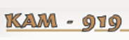 KAM 919 EOOD logo