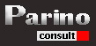 Parino Ltd. logo