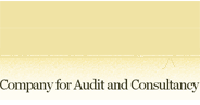 Company for Audit and Consultancy Ltd. logo