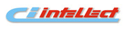 CI Intellect Ltd. logo