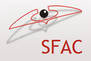 Sofia Financial Accounting Company logo
