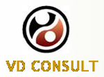 VD Conslt LLC. logo