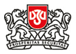 DZI Plc. logo