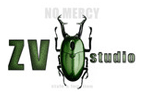 ZV Studio logo