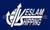 Veslam Shipping Ltd. logo