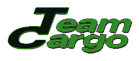 Team Cargo LLC. logo