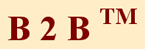 B 2 B TM logo