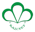 Boicho Stoev – Razcvet Stoev logo