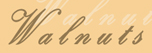 Chopy Ltd logo