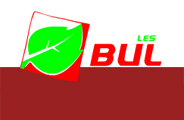 Bulles Group Ltd logo
