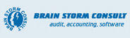 Brain Storm Consult logo