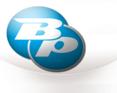 BULPOR Ltd logo