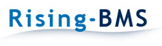 Rising - BMS Ltd. logo