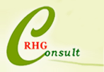 RHG Consult Ltd. logo