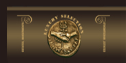 Selectstroi LTD. logo