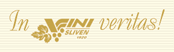 VINI - SLIVEN logo