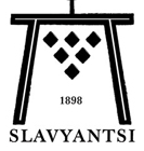 Vinex Slavyantsi logo