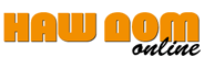 Nash Dom logo