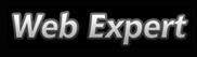 Web Expert logo