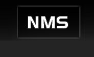 New Millenium Software LTD logo