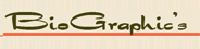 Silva 2003 Ltd. logo