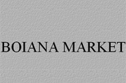 BOIANA MARKET Ltd. logo