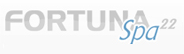 Fortuna SPA 22 Ltd. logo