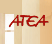 ATEA Ltd logo