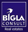 BIGLA CONSULT logo