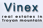 Vinex logo