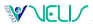 Velis Consult logo