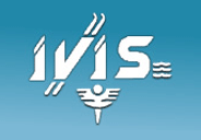 Ivis logo