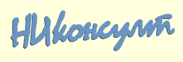 NICONSULT logo