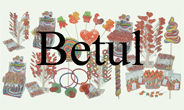 Candy House Betul Ltd. logo