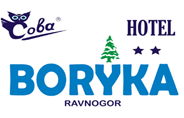 Hotel Complex Boryka logo