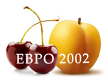 Euro 2002 logo