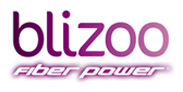 Blizoo Ltd logo