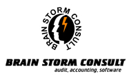 BRAIN STORM CONSULT logo