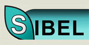 Panimex logo