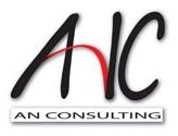 AN Consulting ltd. logo