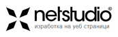 Netstudio logo